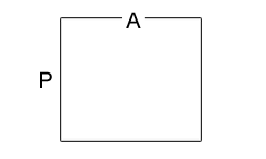 Calculate the Perimeter of a Square